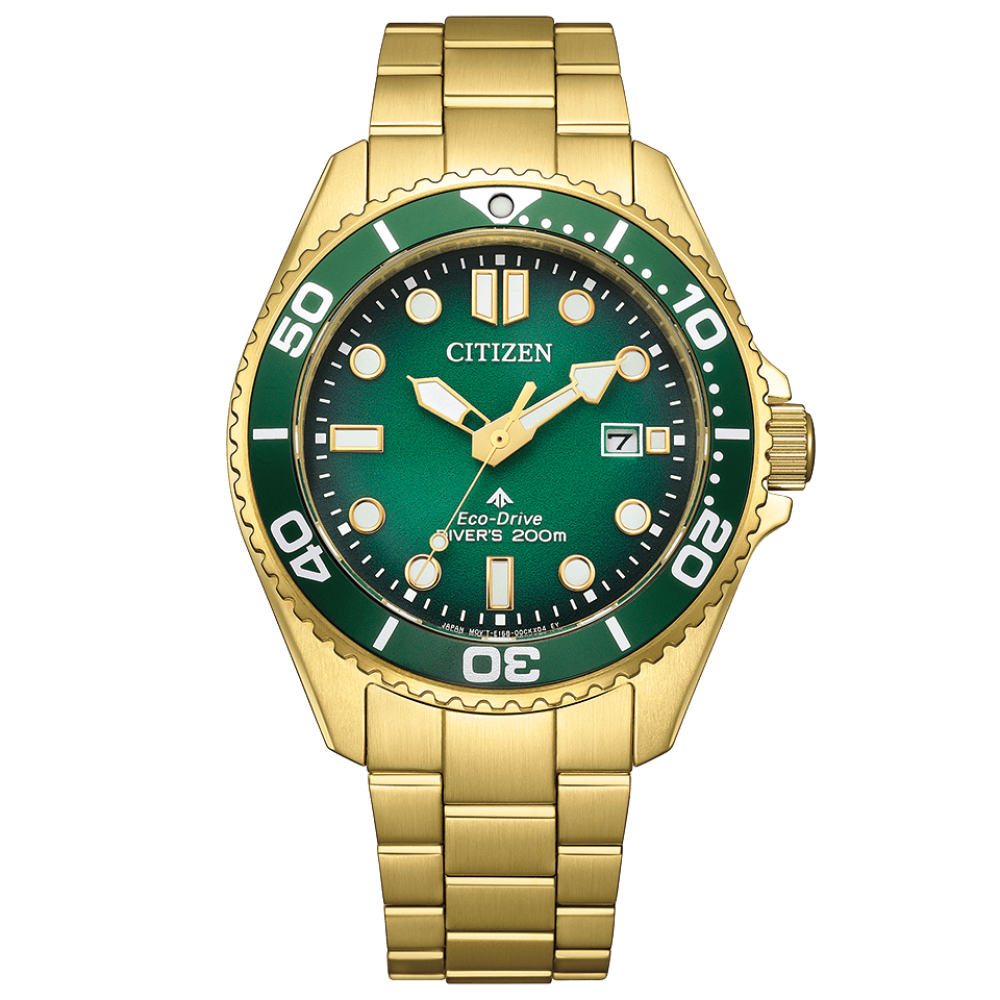 Citizen - Promaster Divers 200m Eco-Drive - BN0262-59W Citizen