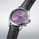 Seiko Prospex Alpinist Seiko 145th Anniversary Limited Edition - HBC006J Seiko