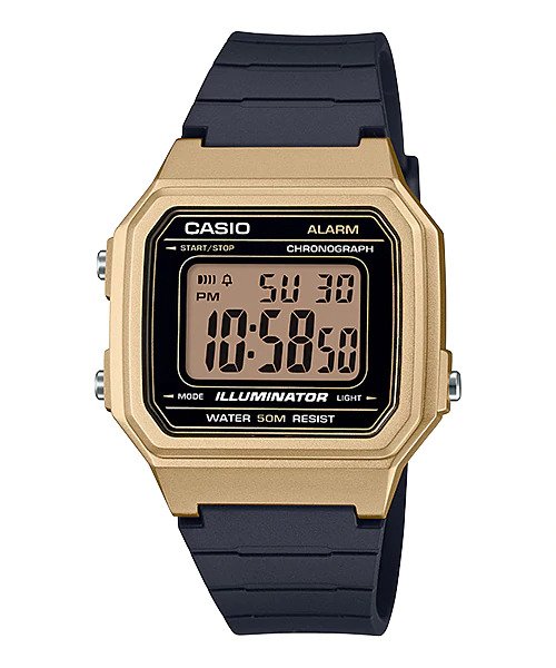 Standard Collection Mens 50m - W-217HM-9AVDF