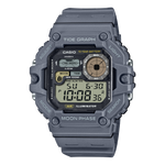 Standard Mens Collection Tide Graph 100m - WS-1700H-8AVDF